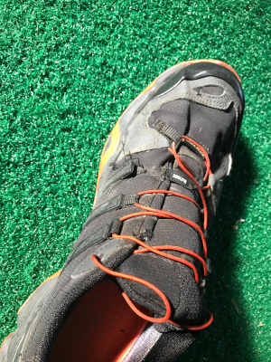 terrex disc golf shoes